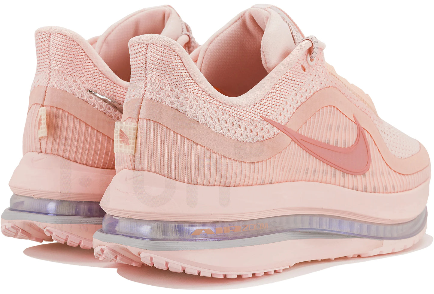 Pegasus premium rose
